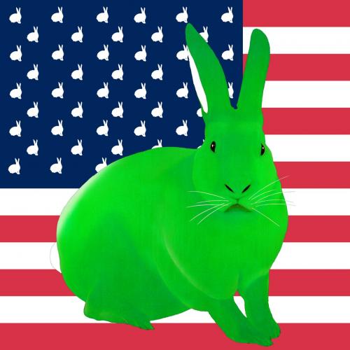 VERT FLAG rabbit flag Showroom - Inkjet on plexi, limited editions, numbered and signed. Wildlife painting Art and decoration. Click to select an image, organise your own set, order from the painter on line